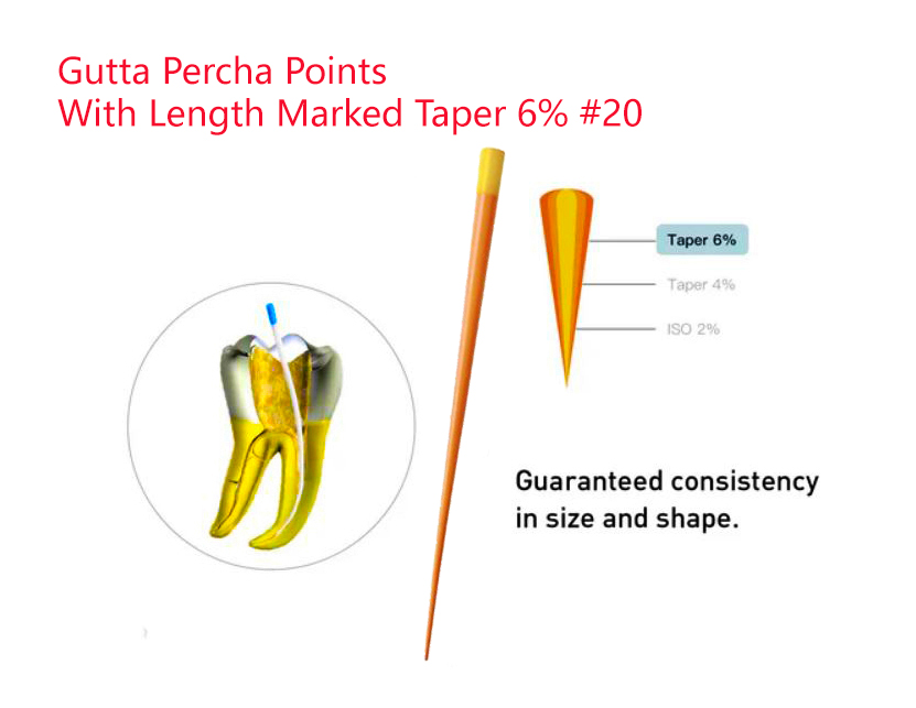 Gutta Percha Points With Length Marked Taper 6% #20