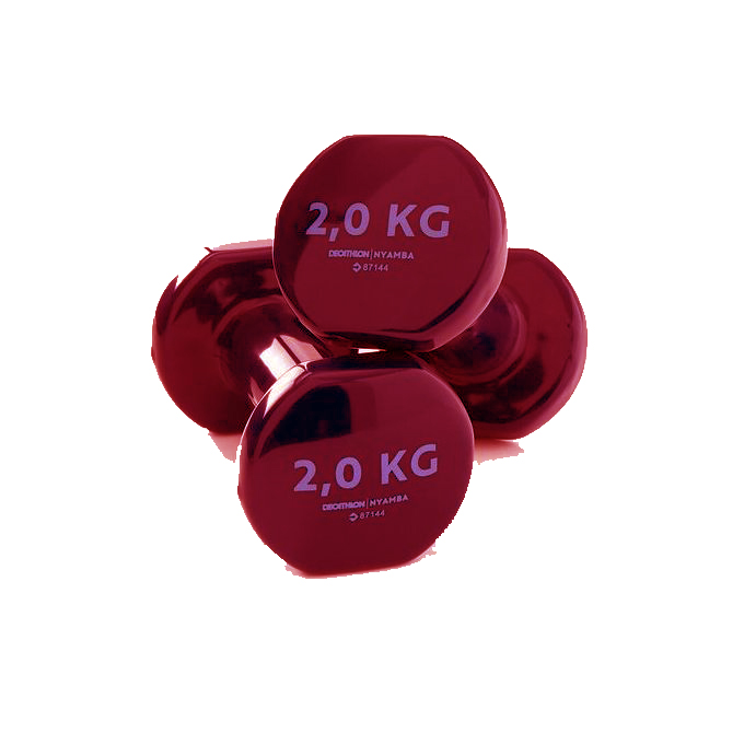 iron-dumbbell-2-kg-spacare-384