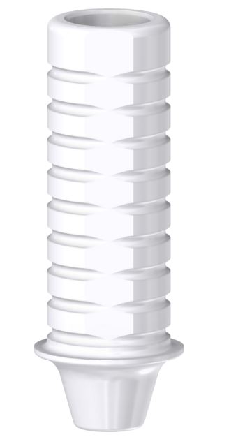 castable-abutment-engaging-with-screw-nc33-161213