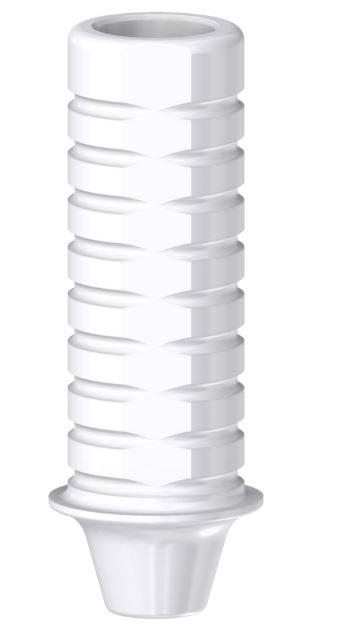 Castable Abutment Engaging With Screw NC/3.3