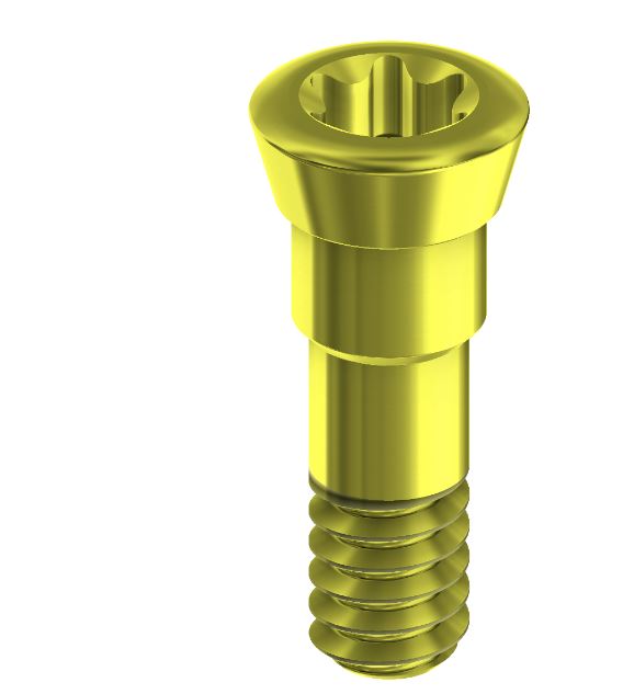 Cover Screw Conical BL NP