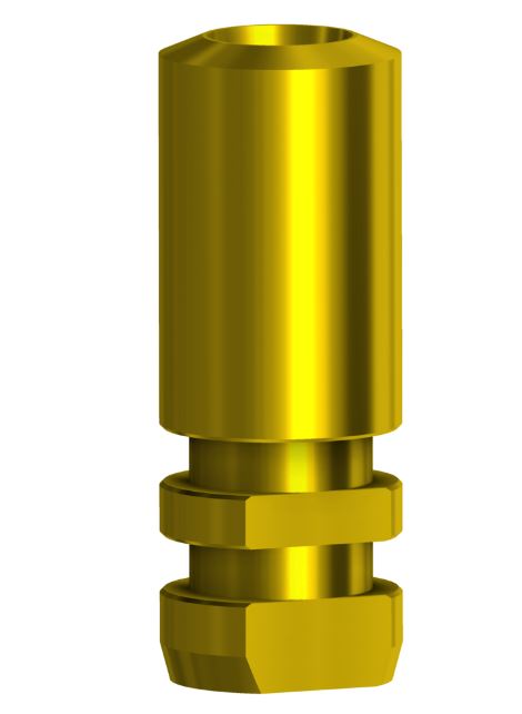 analogue-compatible-with-straumann-blx-wb-45-yellow-159671