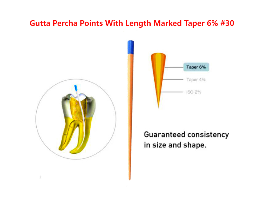 Gutta Percha Points With Length Marked Taper 6% #30