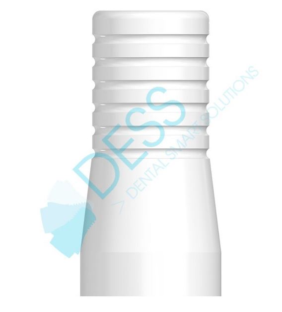 Castable Abutment Compatible With Straumann Bone Level Engaging NC/RC