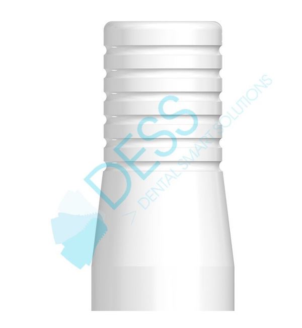 castable-abutment-compatible-with-straumann-tissue-level-synocta-non-engaging-ncrc-166628