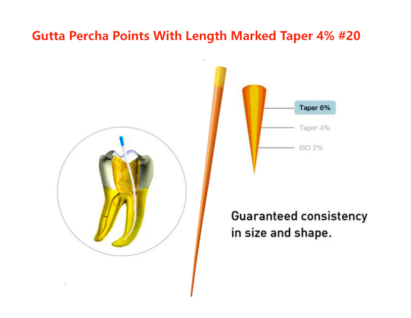 Gutta Percha Points With Length Marked Taper 4% #20