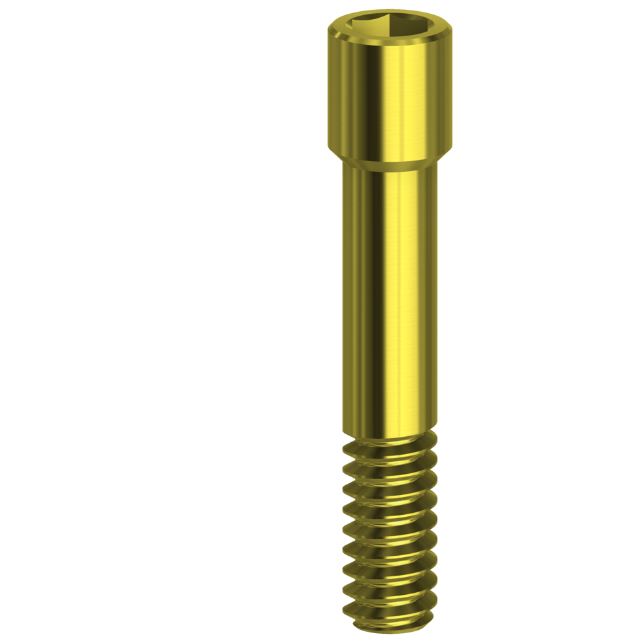 Screw Hex Tin Coated Compatible With Camlog NP/3.3 1.27 mm Gold