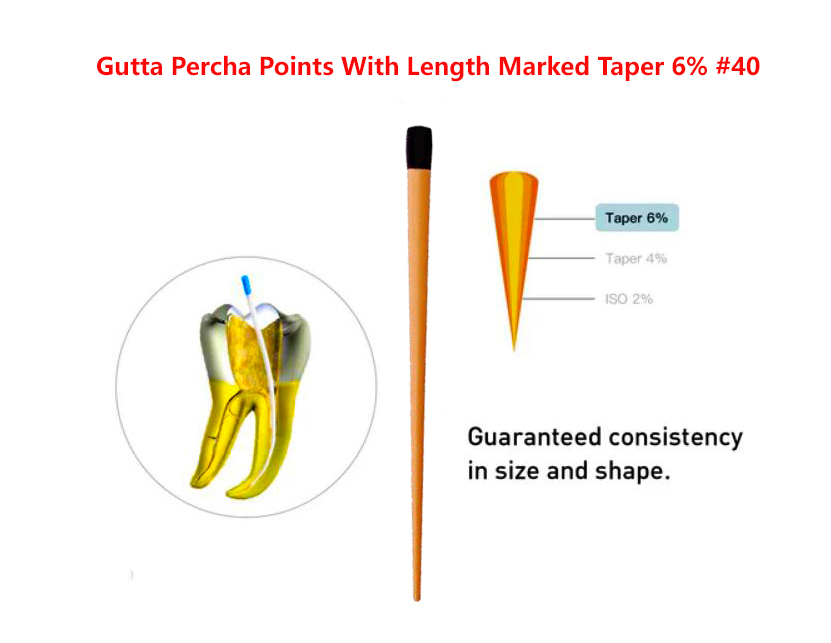 Gutta Percha Points With Length Marked Taper 6% #40