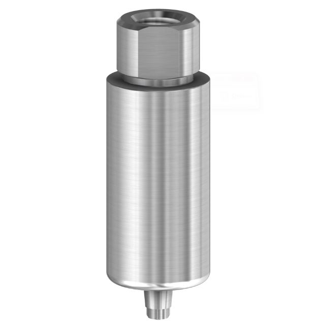 pre-milled-blank-compatible-with-biotech-kontact-ti-o-10-mm-162214