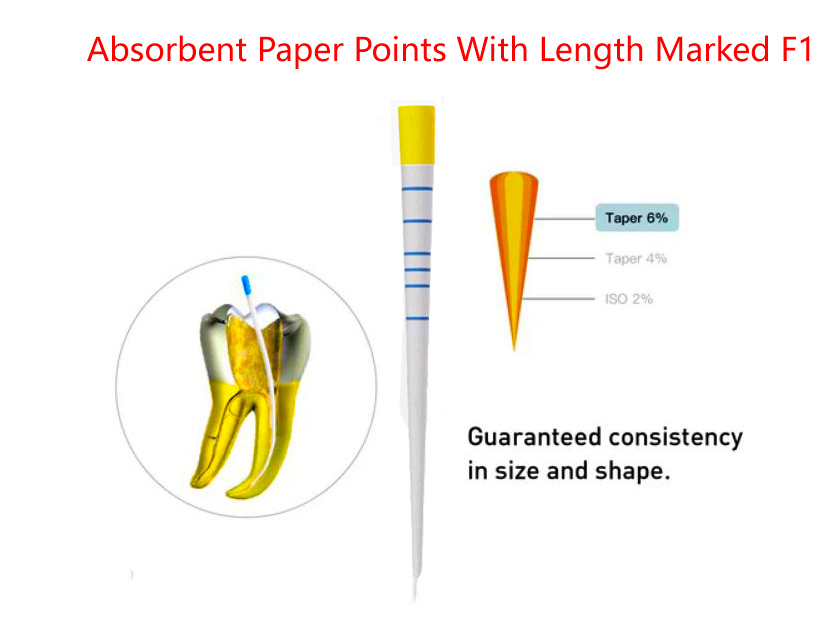 Absorbent Paper Points With Length Marked F1