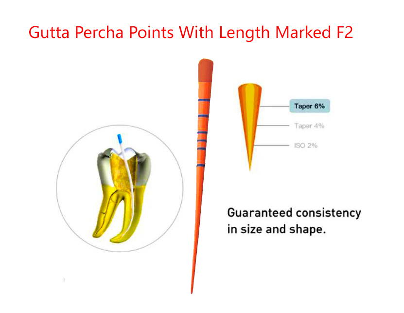 Gutta Percha Points With Length Marked F2