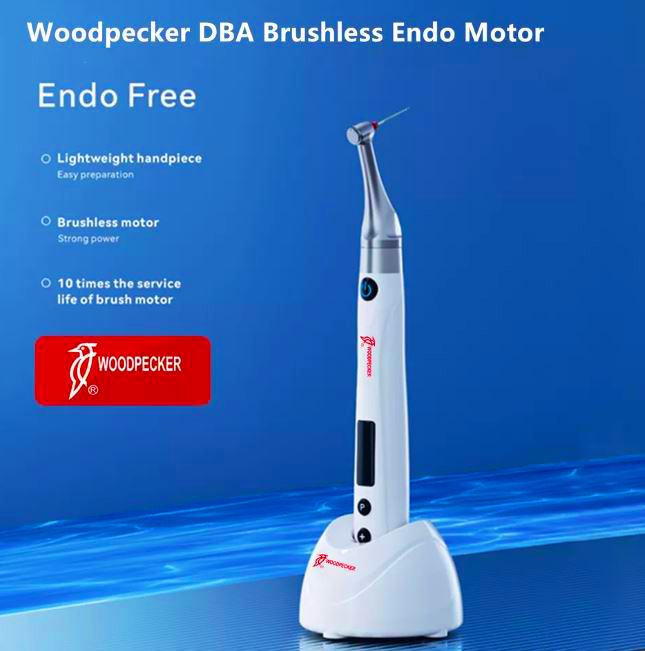 Woodpecker Endo Free Cordless  Endo Motor