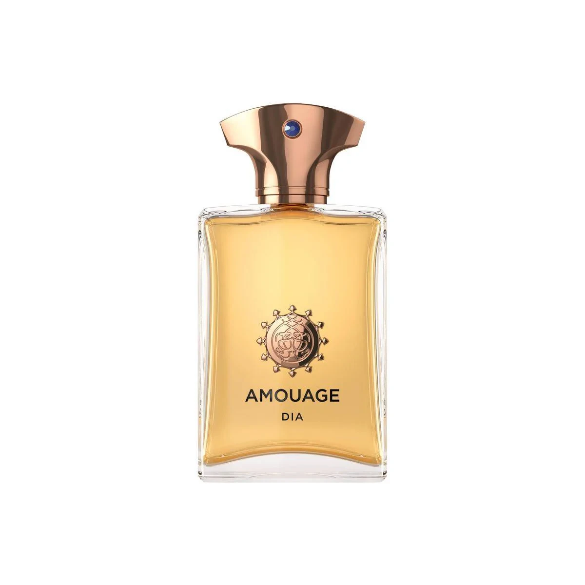 Amouage Dia For Man (M) EDP 100ml