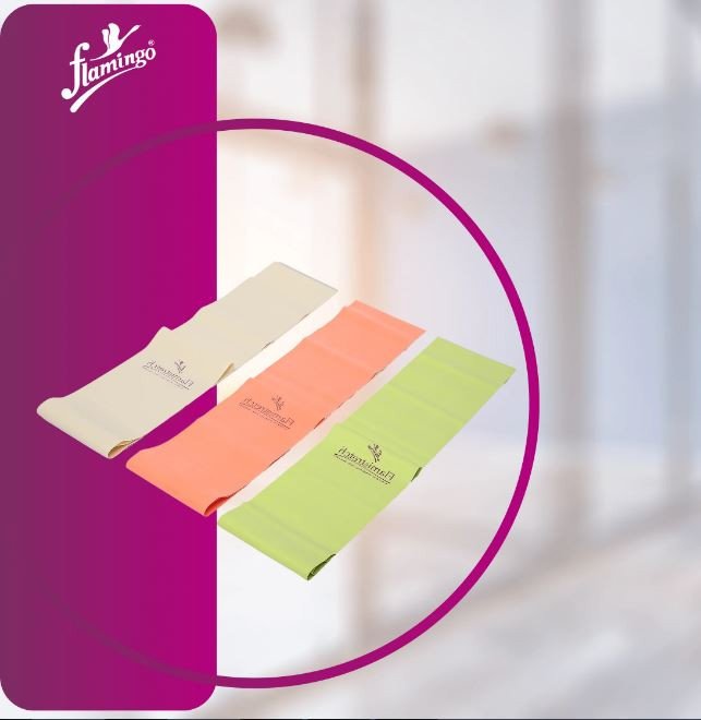  Flamingo Flamistretch Latex Exercise Band 