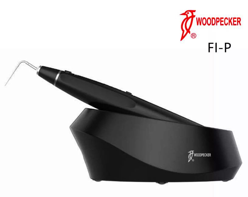 DTE Fi-P Obturation System Pen