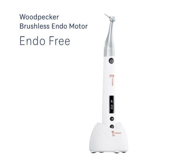 Endo Free Woodpecker