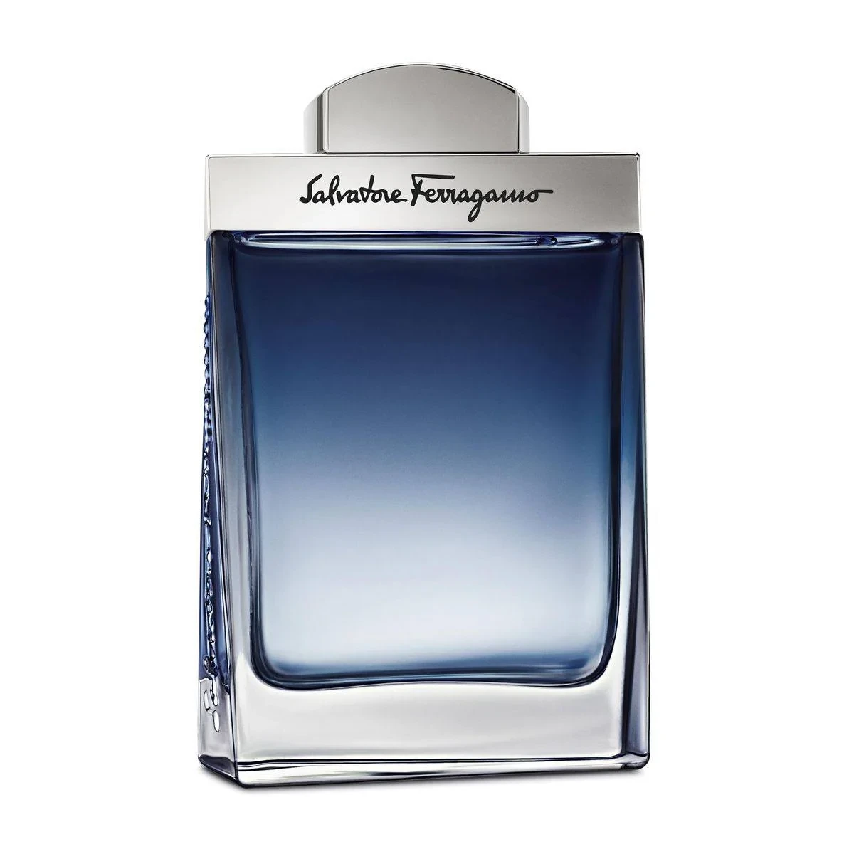 Salvatore Ferragamo Subtil Pour Homme (M) EDT 100ml
