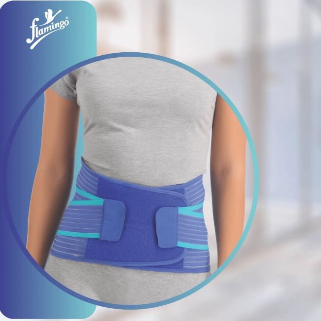 Flamingo Premium Lumbar Sacro Support