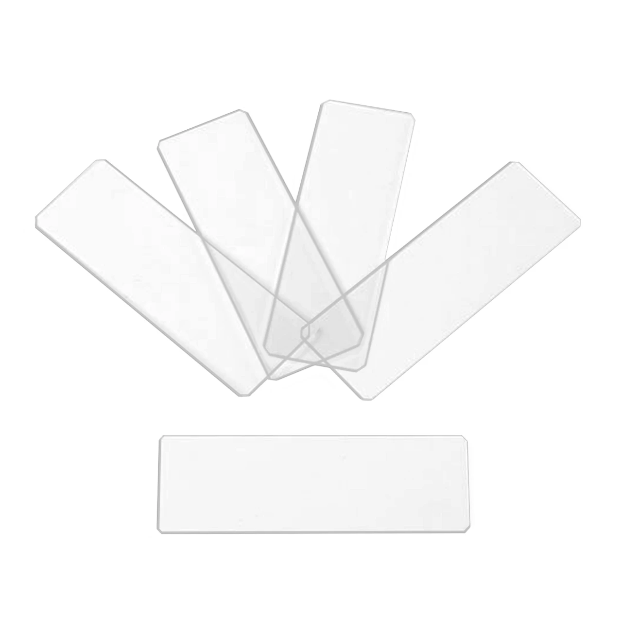 شرائح مكرسكوب