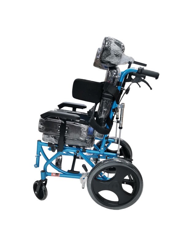 Highly disabled chair