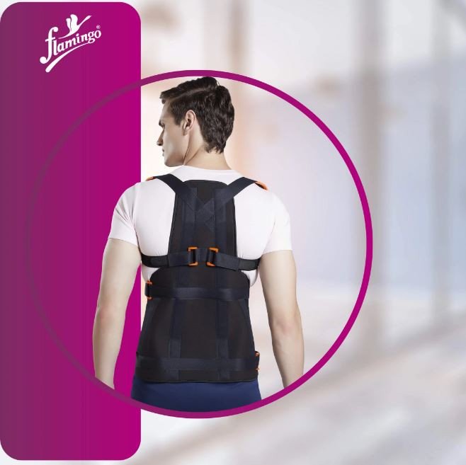 Flamingo Dorsolumbar Spinal Brace (Taylors Brace)