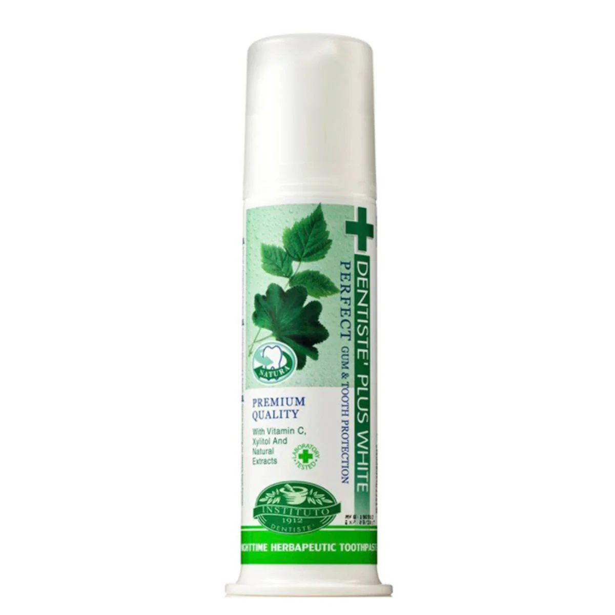 Dentiste Plus White Toothpaste Night Time Pump 120g