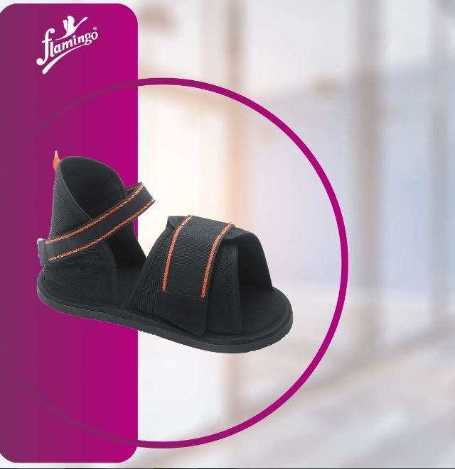 Flamingo Cast Shoe